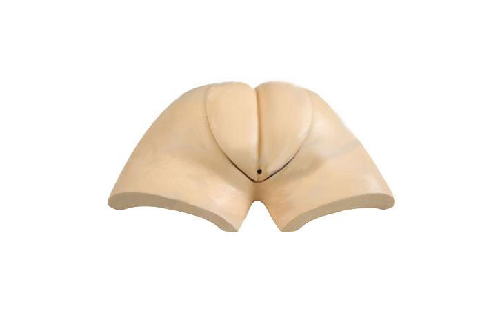 ߼(j)bʽ˹ȡӖ(xn)ģ